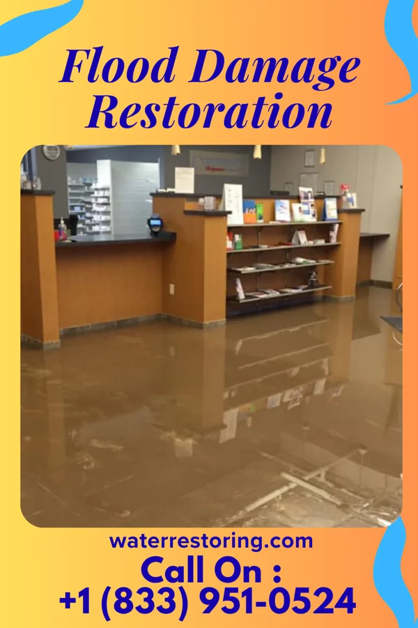 Flood Damage Restoration in Lake Arthur, LA